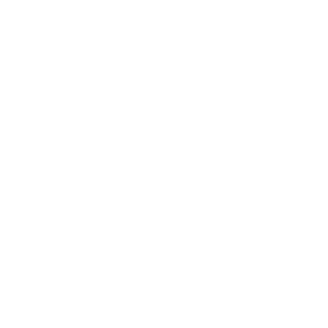 Triathlon Bike